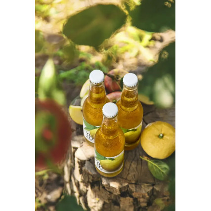 Sidro yuzu