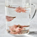 Salted cherry blossoms 5 mm stem