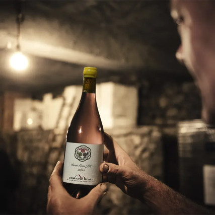 DOM GRIJS JK, PINOT GRIJS 2022 13%, 750ML