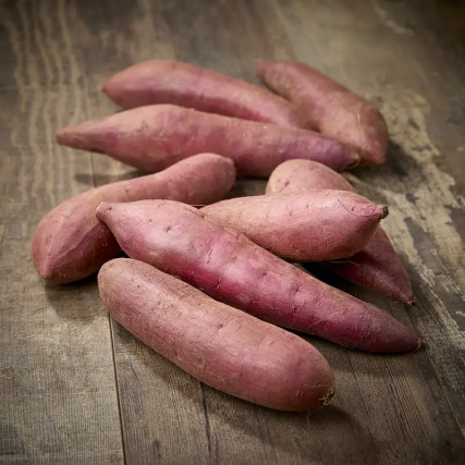 Beniharuka Sweet Potato (Ipomoea Batata) Chiba Prefecture