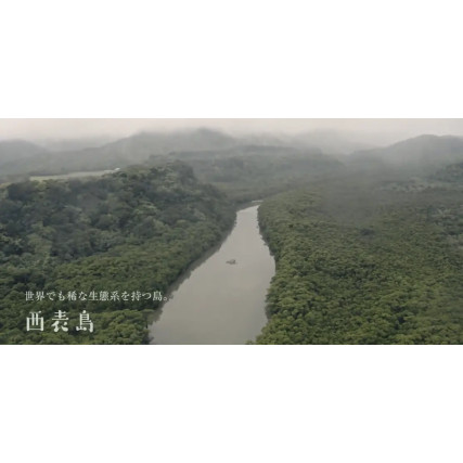 Black Cane Cane Crank Zucker von Iromote 1 kg