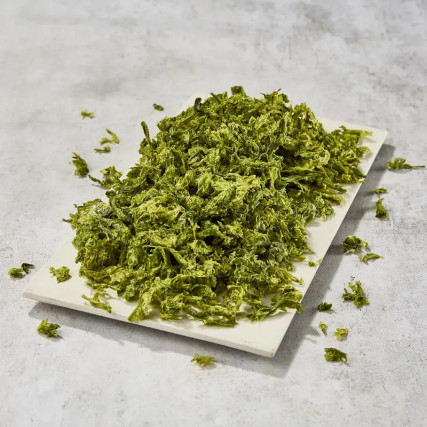 Isewan Aosanori de Mie Premium 