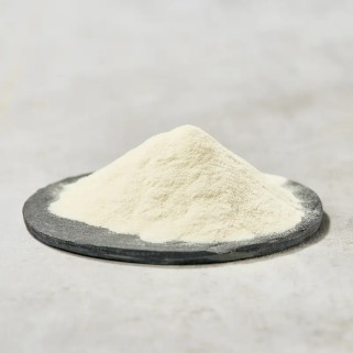 SHfra_LatnAN 20 kg baltojo papūgo