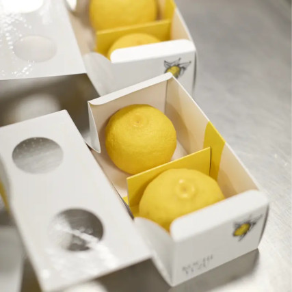 Barquette de 2 Yuzu jaunes