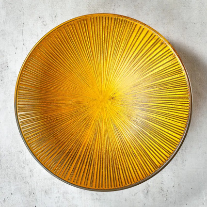 Plate in Something or Udon