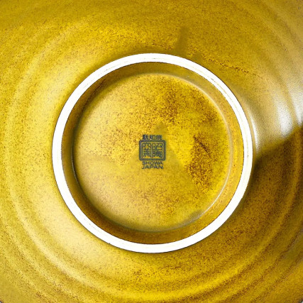 Plate in Something or Udon