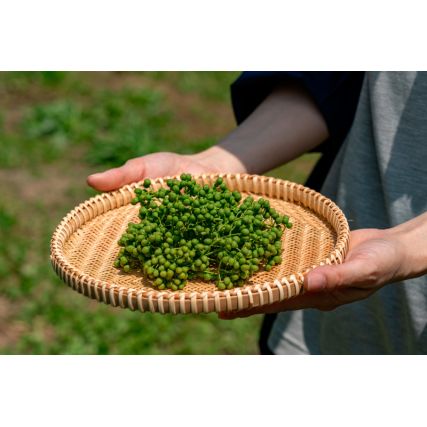 Soulho soulho beries