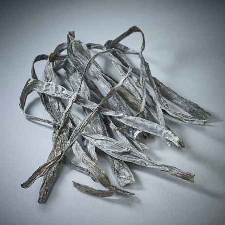 Alghe Naga Kombu Kombu