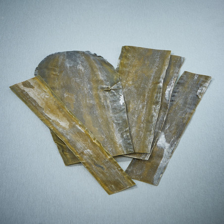 Rausu Kombu Algae επιπλέον κουλτούρα