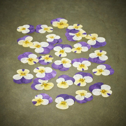 Fleurs de pensées séchées "L"