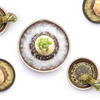 Suri Motoshige plate grater Wasabi - Citruses - Peels - Radish - Ginger graters