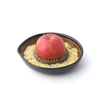 Suri Motoshige plate grater Wasabi - Citruses - Peels - Radish - Ginger graters