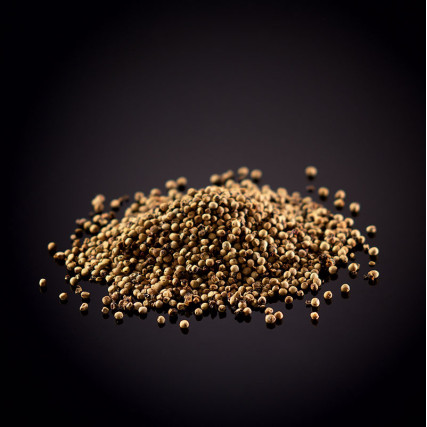 Pepe bianco di Kampot White Pepper Bianco lungo