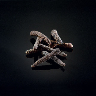 Kampot Black Long Pepper