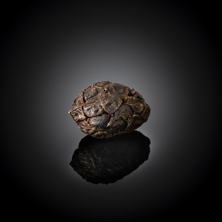 Semi di cardamomo neri