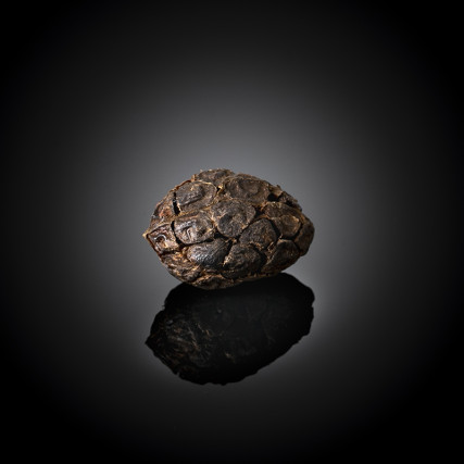 Sementes de cardamomo preto