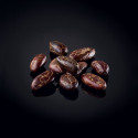 Fagioli di cacao della Columbia Scuro