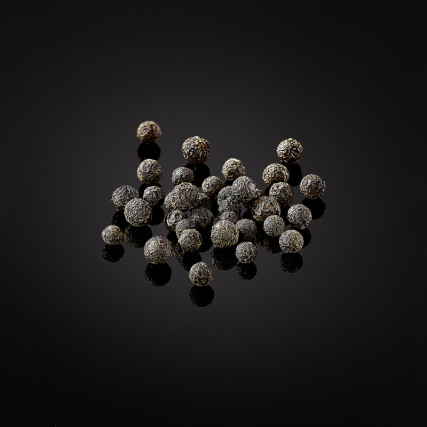 野生のベイ「マガオ」またはバーベナの果実