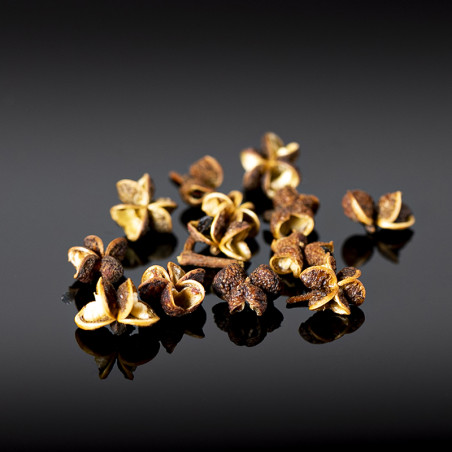 Mack Khen Bays iz gozdov Luang Prabang