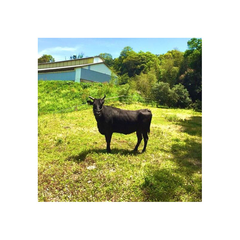 Wagyu biff fra Japan