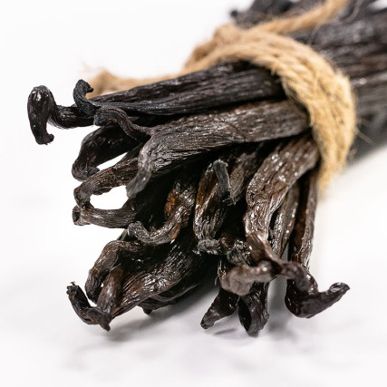 Baunilha Gourmet Preto não dividida Tahitensis