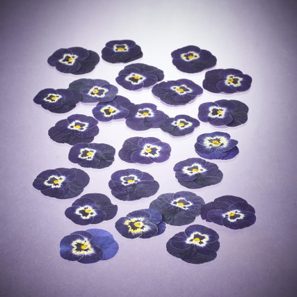 Dried edible viola flowers Flowers & leaves