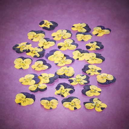 Dried edible viola flowers Flowers & leaves