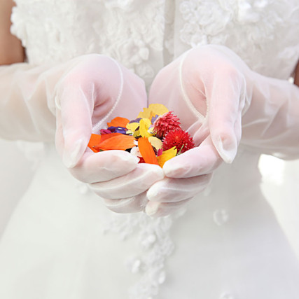 干し赤いアイレットの花びらの花と葉