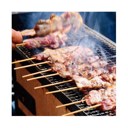 Konro κουτάβι πίνακα BBQ BQ22