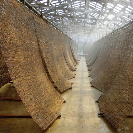 Wajima No Kaien Sea Salt