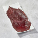Condimento fogli Shiso