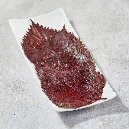 Condimento fogli Shiso
