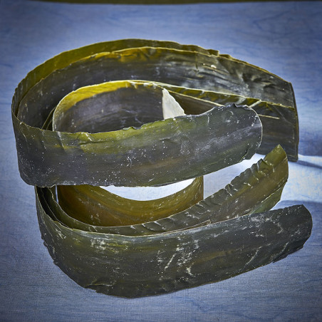 Odlade alger min kombu hokkaido kombu