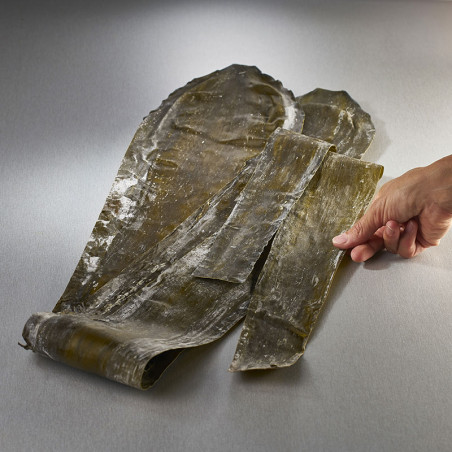 Premium Rausu Kombu seaweed