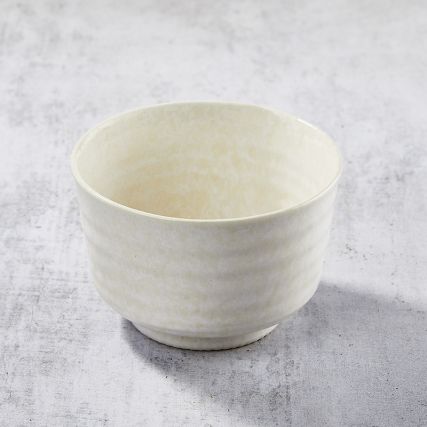 ドンブリ社製のボール