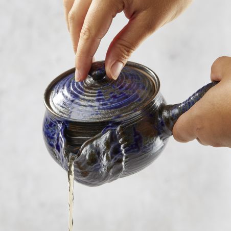 Banko Yaki Kyusu Hirokuchi Penry Tekanna