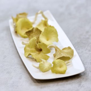 Tørket sopp Hanasaki tamogi dehydrert