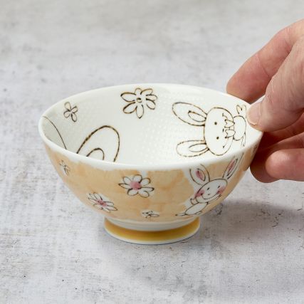 Ryžių dubuo - gyvūnų modelis