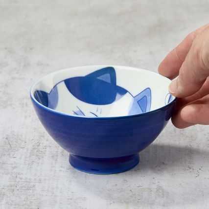 Rice Bowl - kissa ja kala nap