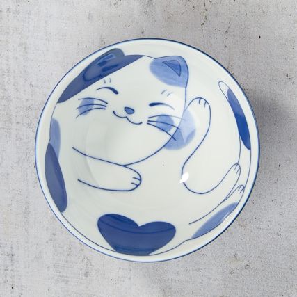 Ρύζι μπολ - γάτα και ψάρι