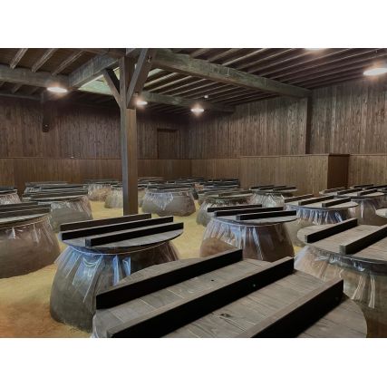 SHUCHU HOMURA NO KOKUIN, MINI 10 Jahre alt