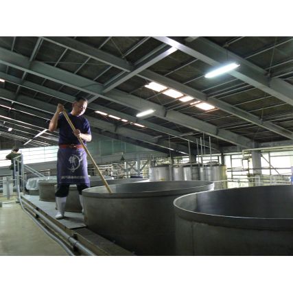 Shochu homura no kokuin, mini 10 anni