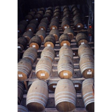 Kuma shochu setsetsu