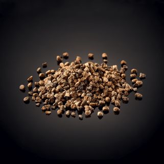 Sjeme zelenog kardamoma Gvatemale