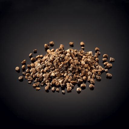 Semi di cardamomo verde di Guatemala