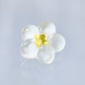 Onnellisuus ovi Engimono White Plum Flower