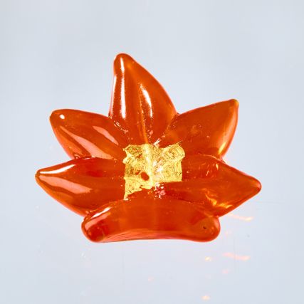 HRPŠKA DOOR HON MUŠKA MUŠKA