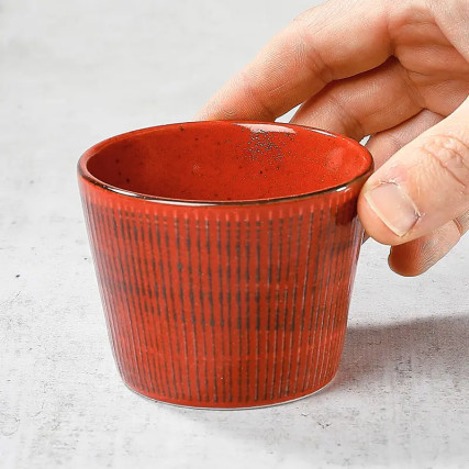 Tsuyu soba choko copo 