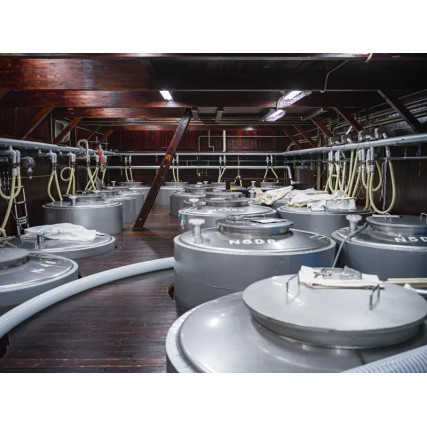 Vermelho Sake aka Kid 13%