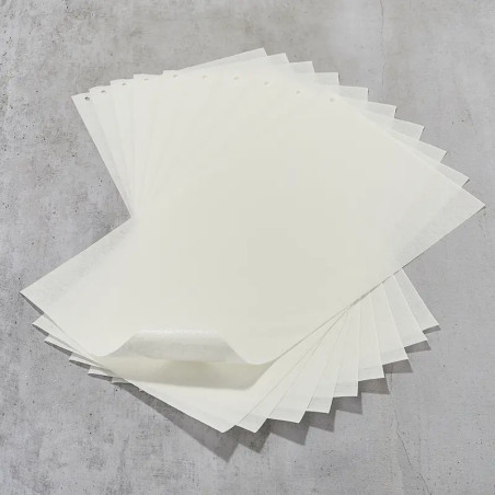 Peixe e carne blotting papel